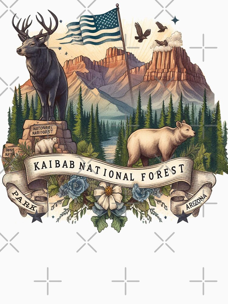 Kaibab National Forest, Arizona by devonclemon