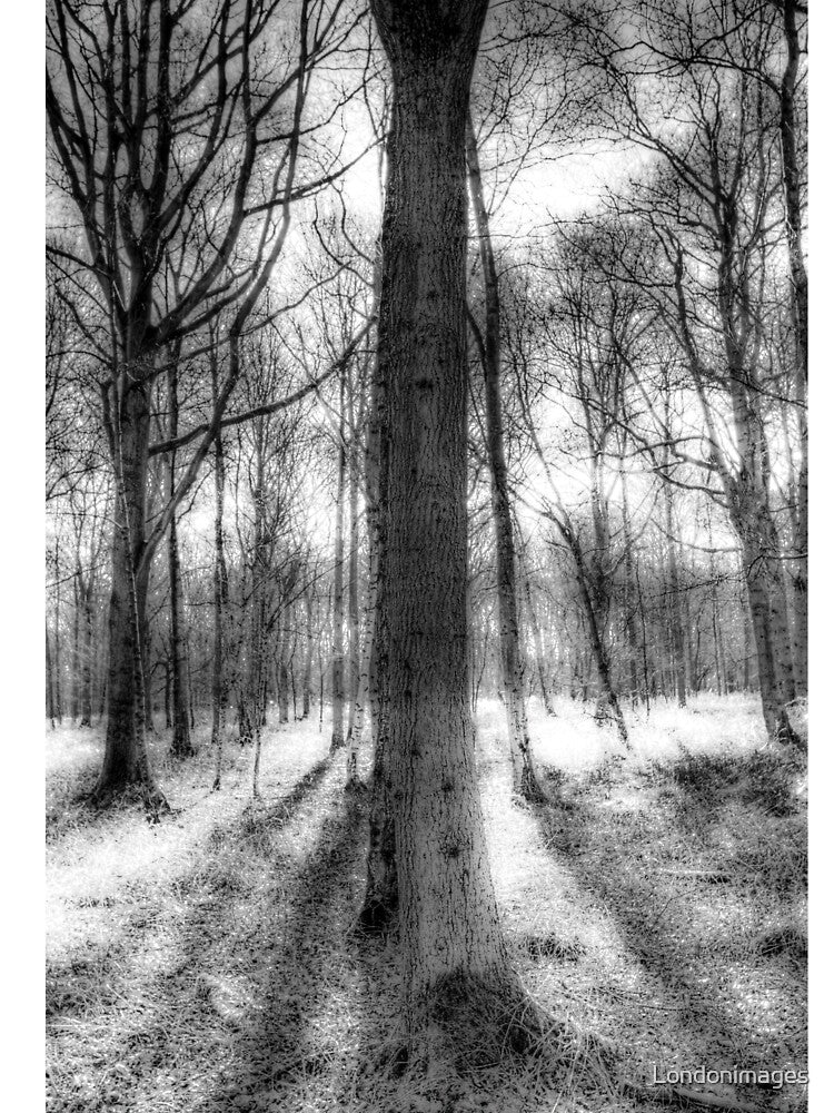 The Forest of Ghosts by Londonimages