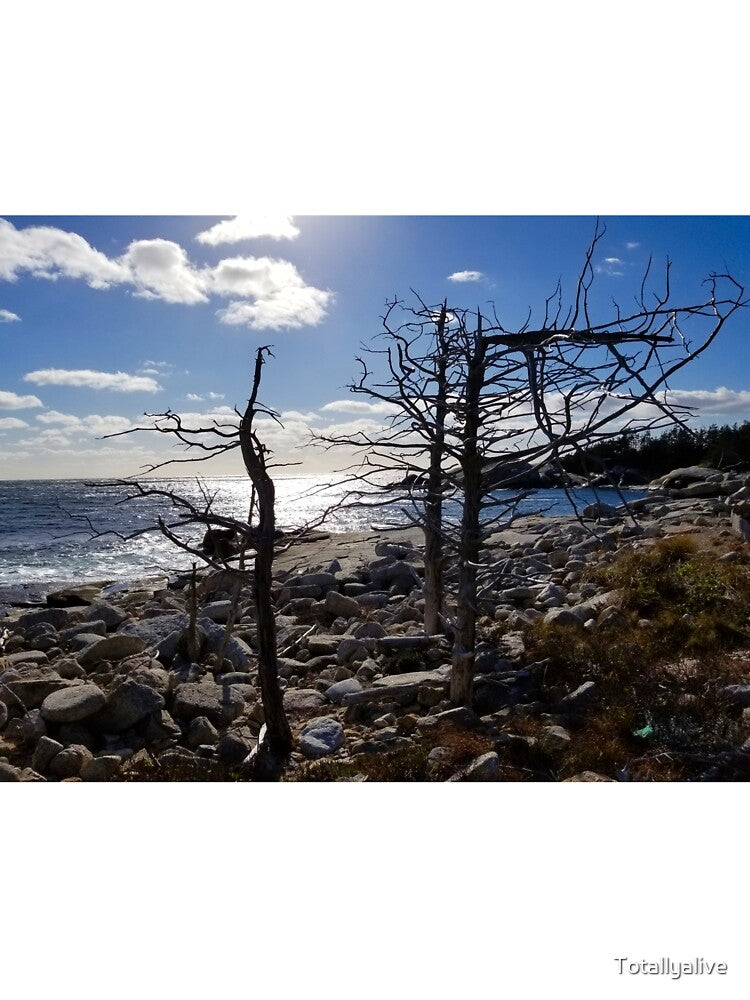 Ocean Side, Wild and Free by Totallyalive