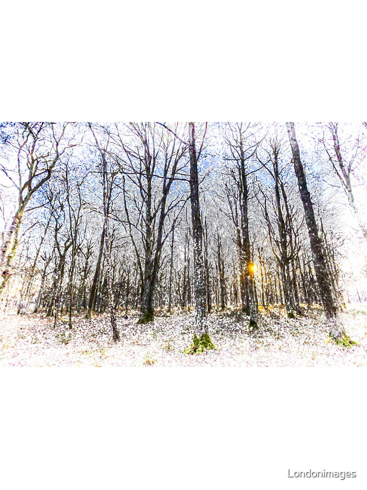 Sunrise Snow Forest Art by Londonimages