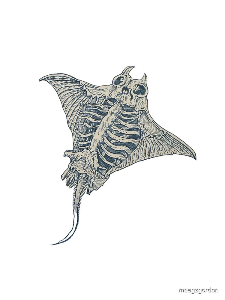 Skeleton Stingray by meagzgordon