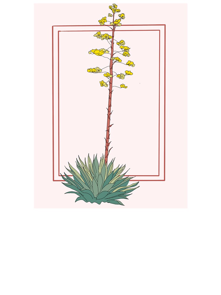 Cactus by MouneShoes