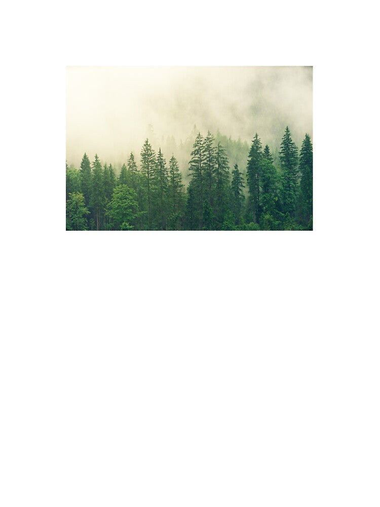Foggy Forest Landscape Print by Julia McMullen