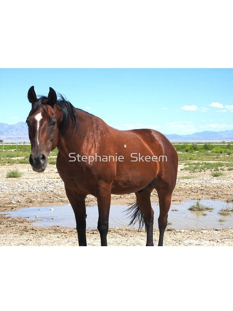 red horse red mustang by Stephanie  Skeem