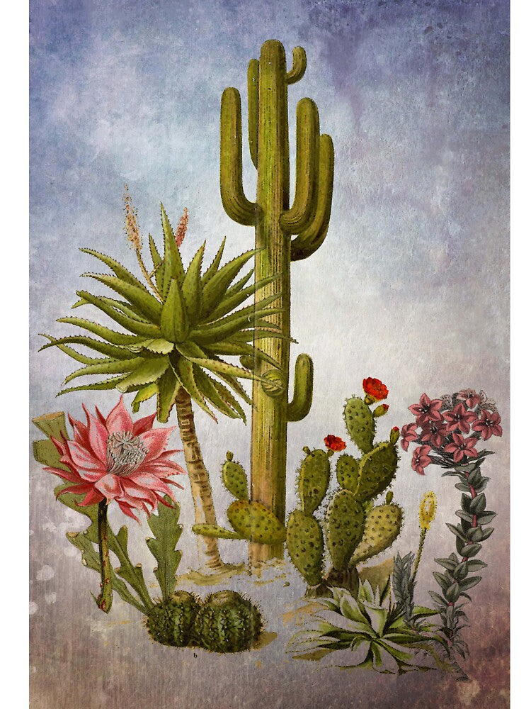 DESERT BEAUTY 2 by Tammera