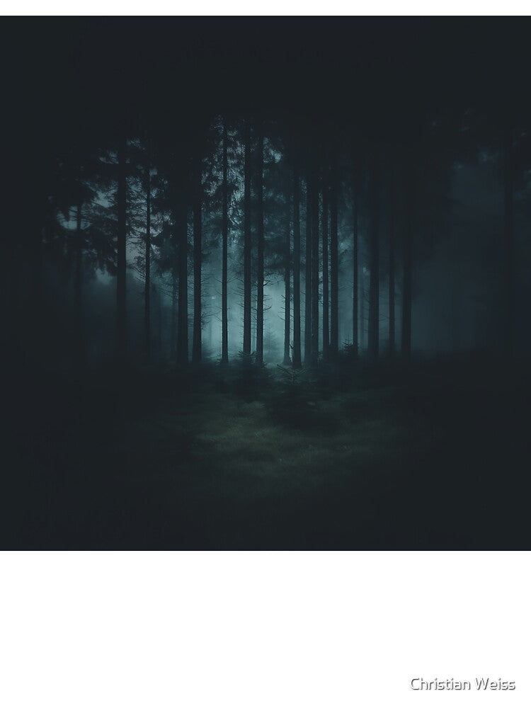 Dark Misty Woodland Depths by Christian Weiss