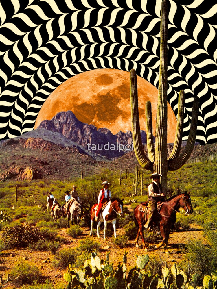 Illusionary Cowboys by Taudalpoi