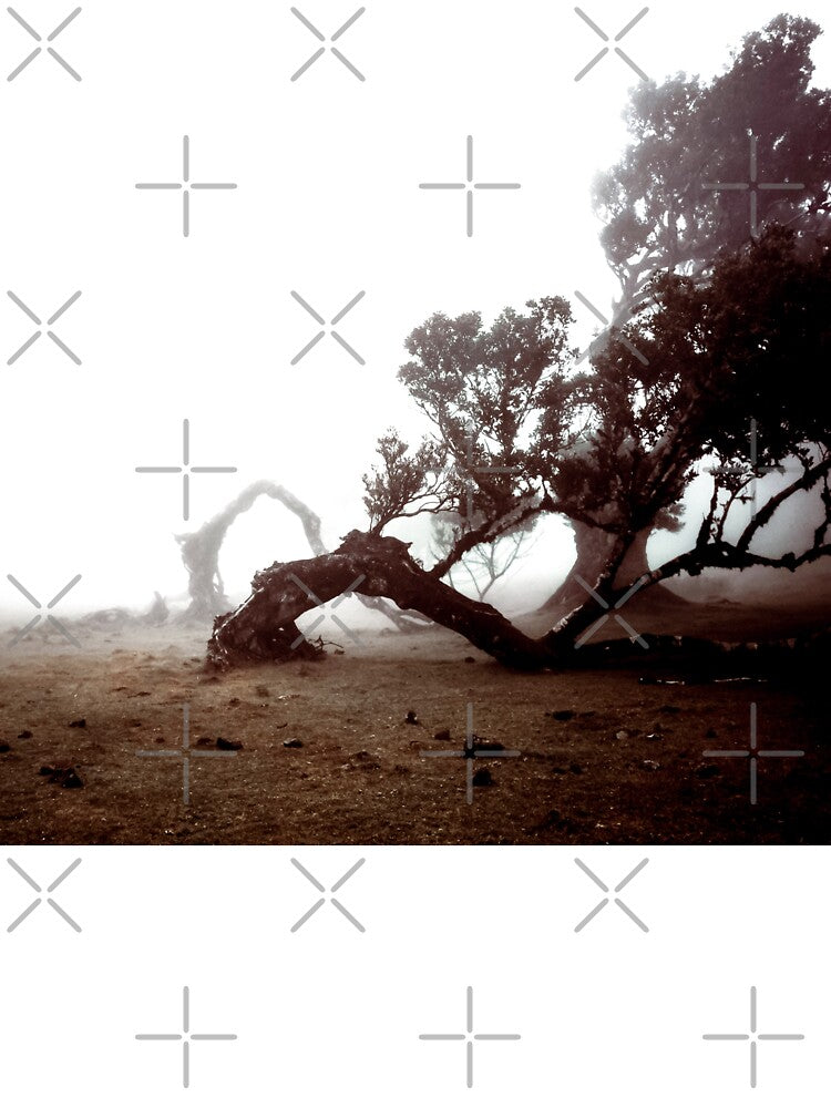 Copy of Madeira Mystical Forest 3 by Interpret108