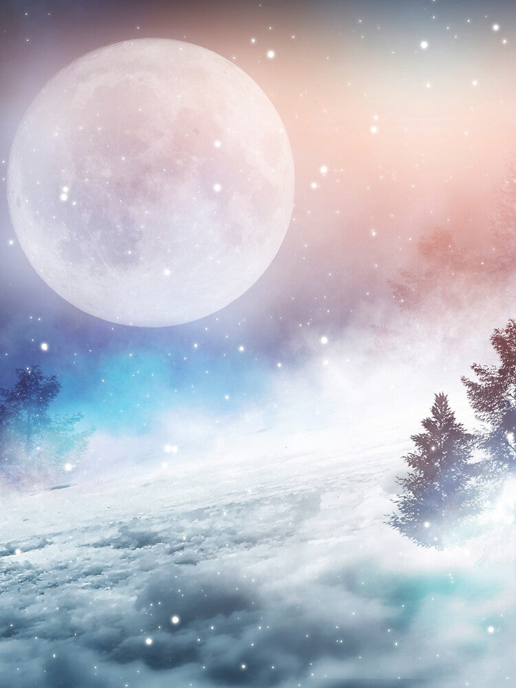 Winter Dark Forest Snowy Landscape by JTS STORE