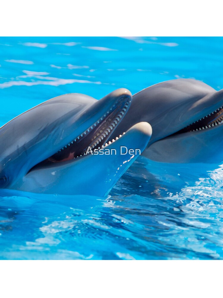 The two whales by Assan Den