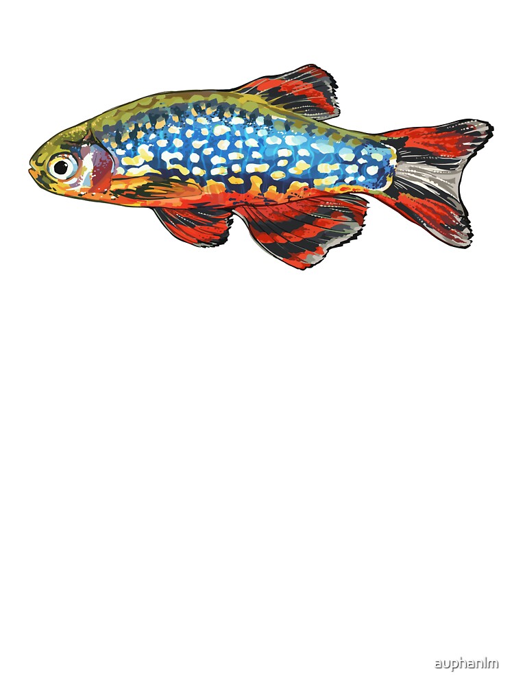 celestial pearl danio! by auphanlm