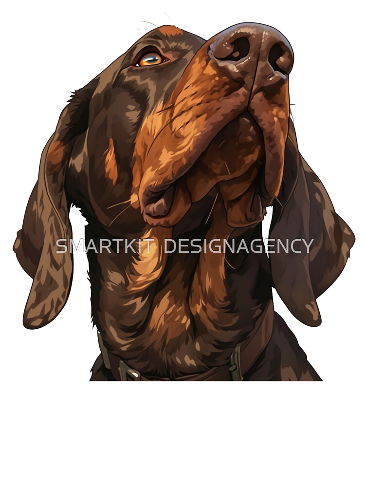 Bavarian Mountain Scent Hound Portrait by SMARTKIT  DESIGNAGENCY