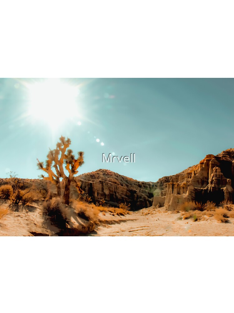 Cactus in the desert with summer light at Red Rock Canyon State Park, California, USA by Mrvell