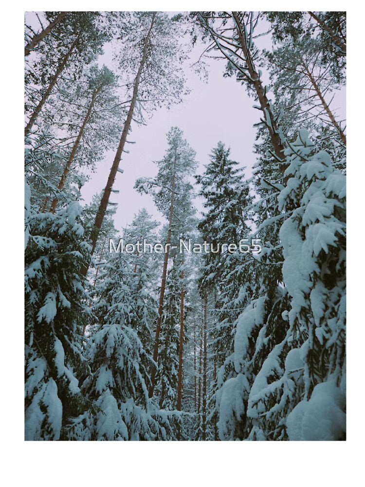 Snow Trees Scene Photographic Print by Mother-Nature65