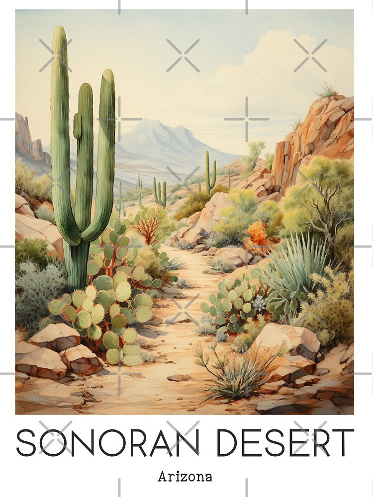 A Vintage Travel Illustration of Sonoran Desert - Arizona - US by GoodOldVintage
