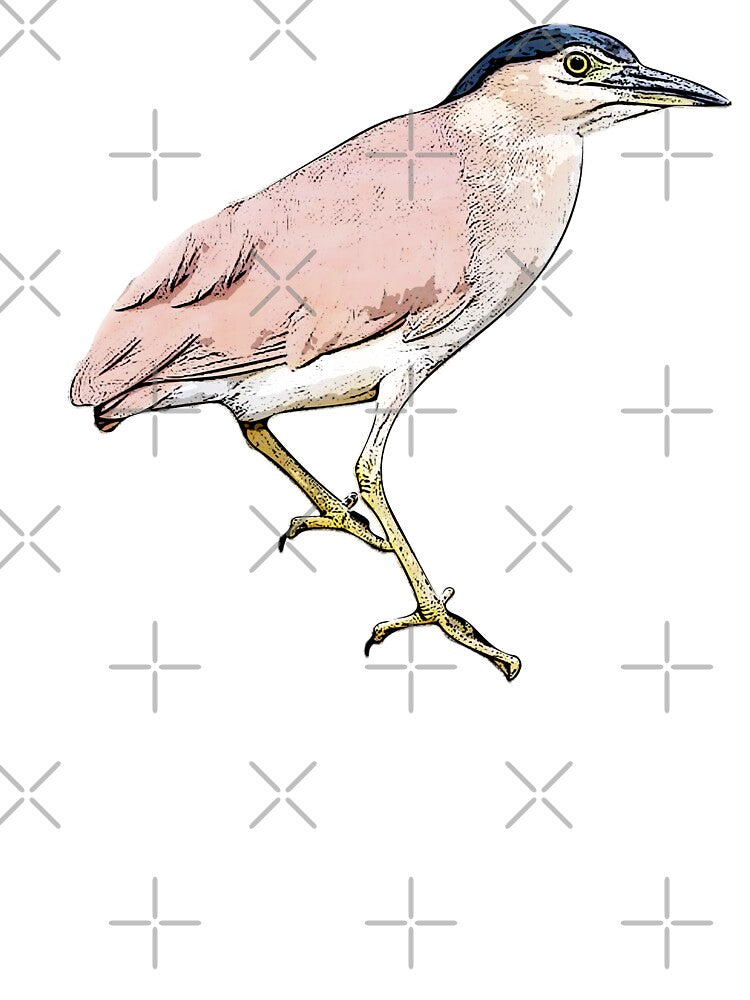Nankeen Night Heron Black Alternate Design by designsasstultd