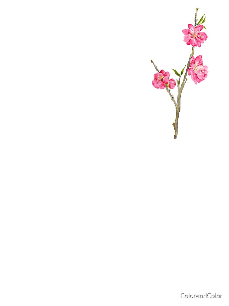 hand painted pink peach flowers blossom macro by ColorandColor