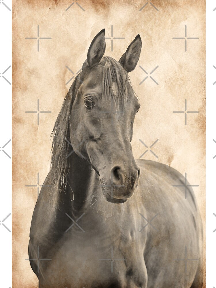 Curious brown Arabian horse blended on old paper by NickoPrints