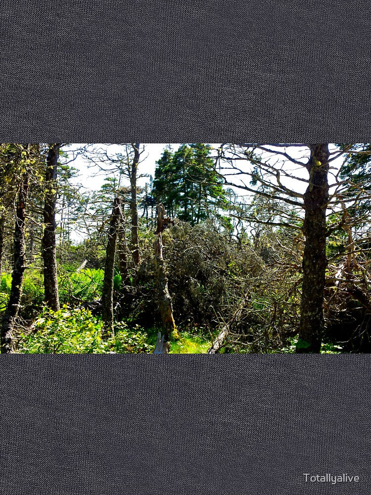 Off the Beaten Path - Dead Forest by Totallyalive