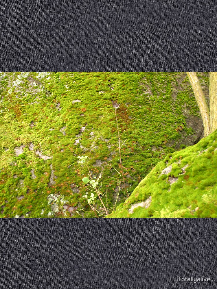Off the Beaten Path - Moss in the Forest by Totallyalive