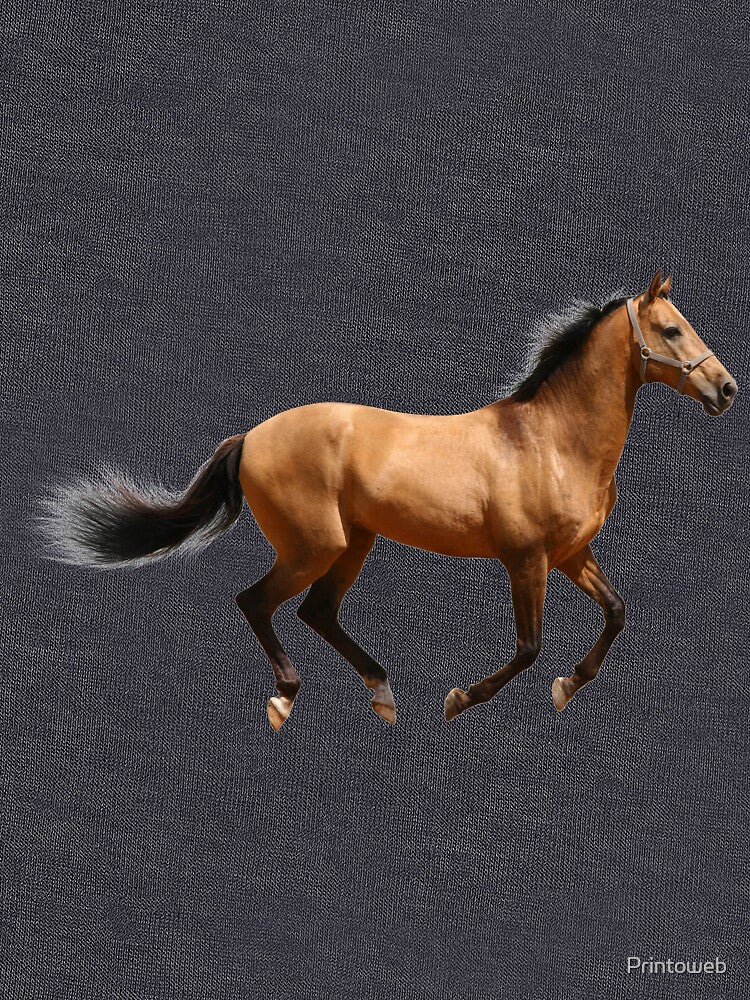 Great Horse Shirt/Horse Clothing/Horse Accessories by Printoweb