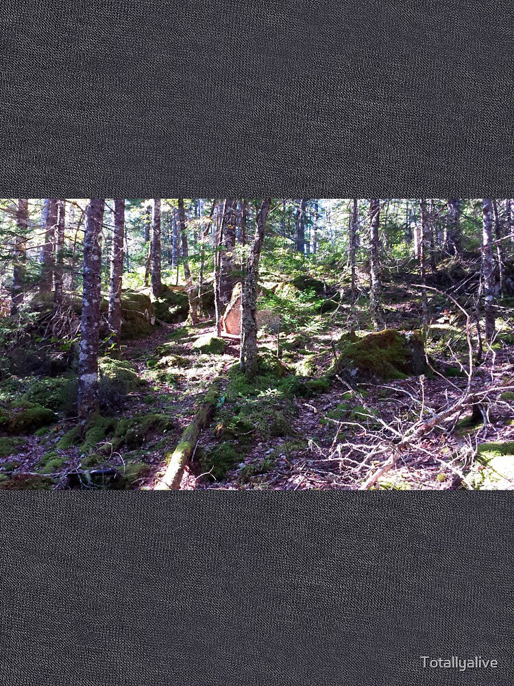 Deep in the Forest by Totallyalive