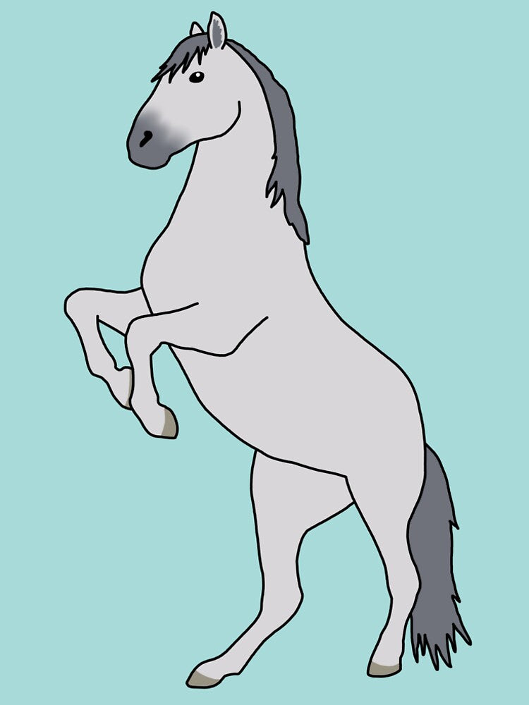 Lipizzaner Horse by taylorrowan