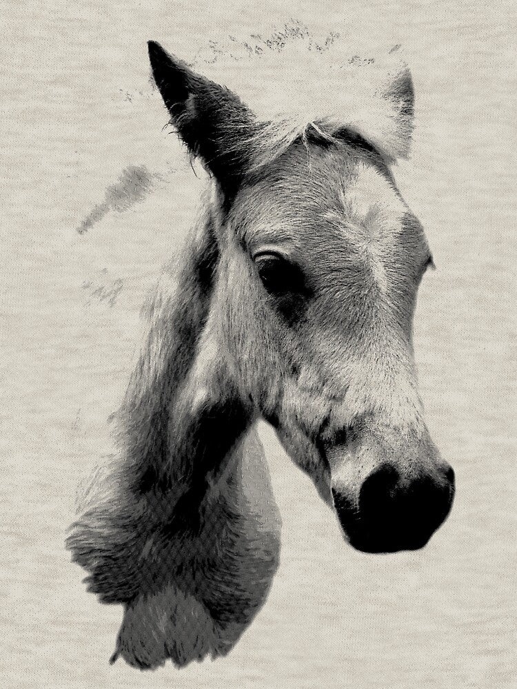 Horse Face and Head. Digital Farm Animal Engraving Image by Digital Eclectica