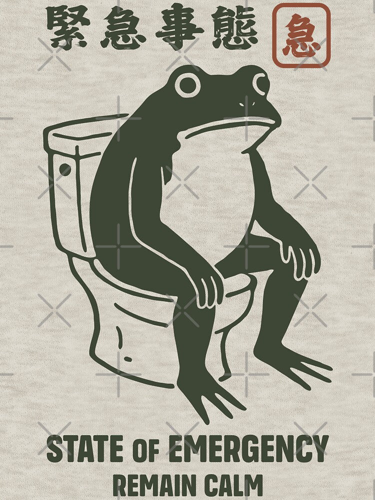 Frog on Toilet - State of Emergency by Faissal Thomass