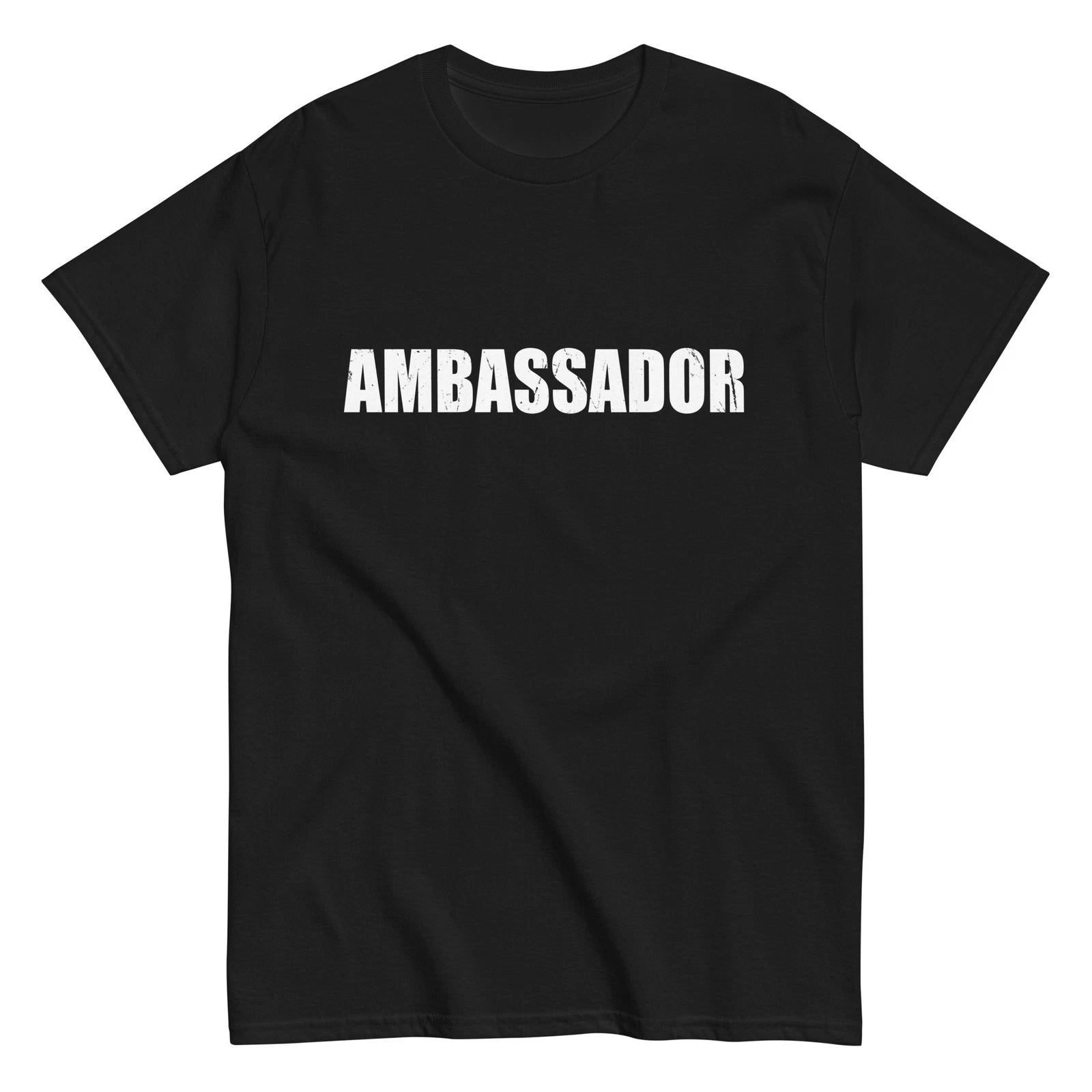 Ambassador Lazy Easy Halloween Costume Funny Cute T-Shirt New Graphic Apparel