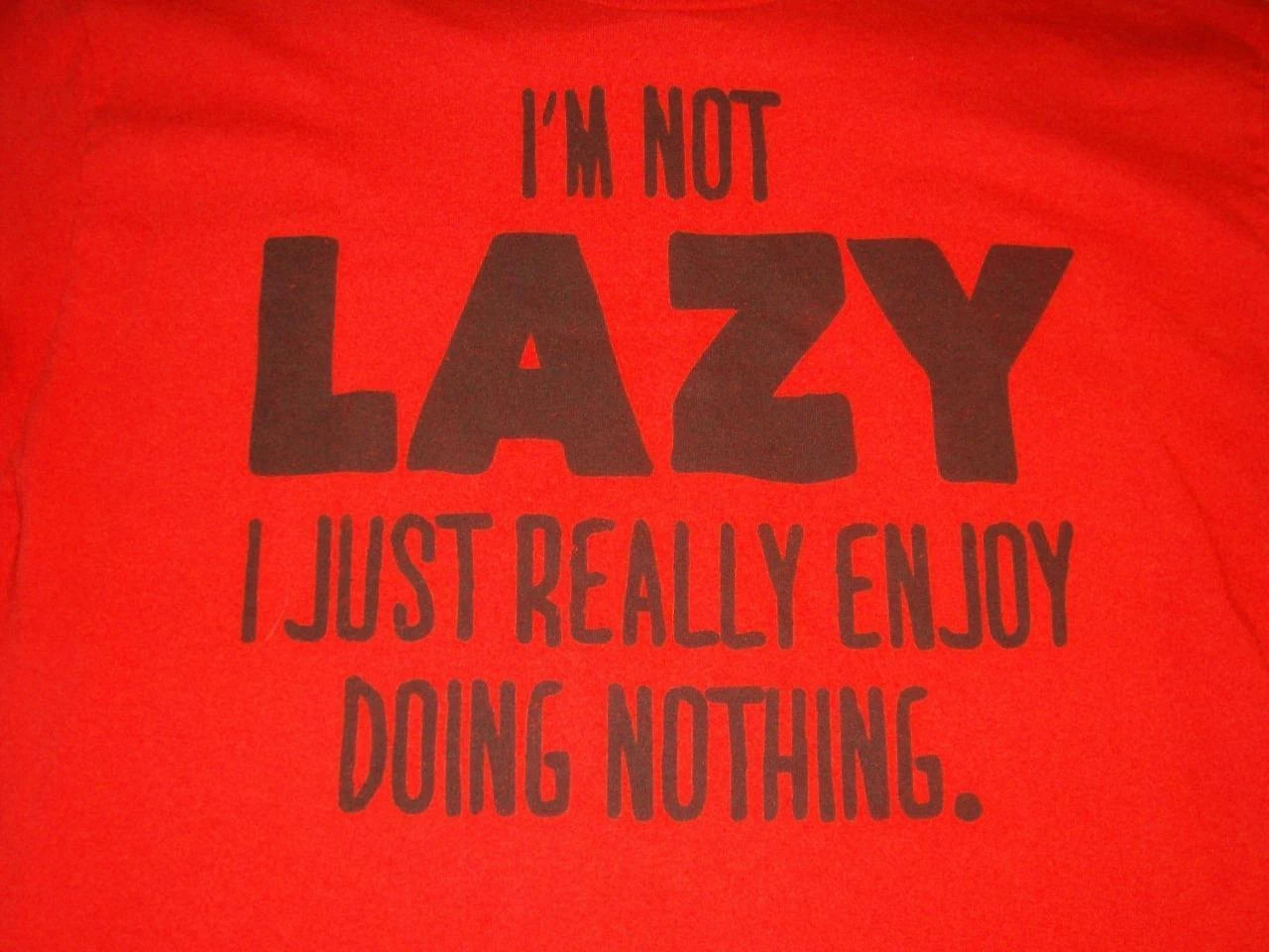 I'm not lazy I just really enjoy doing nothing Red T-shirt Men's Medium Used