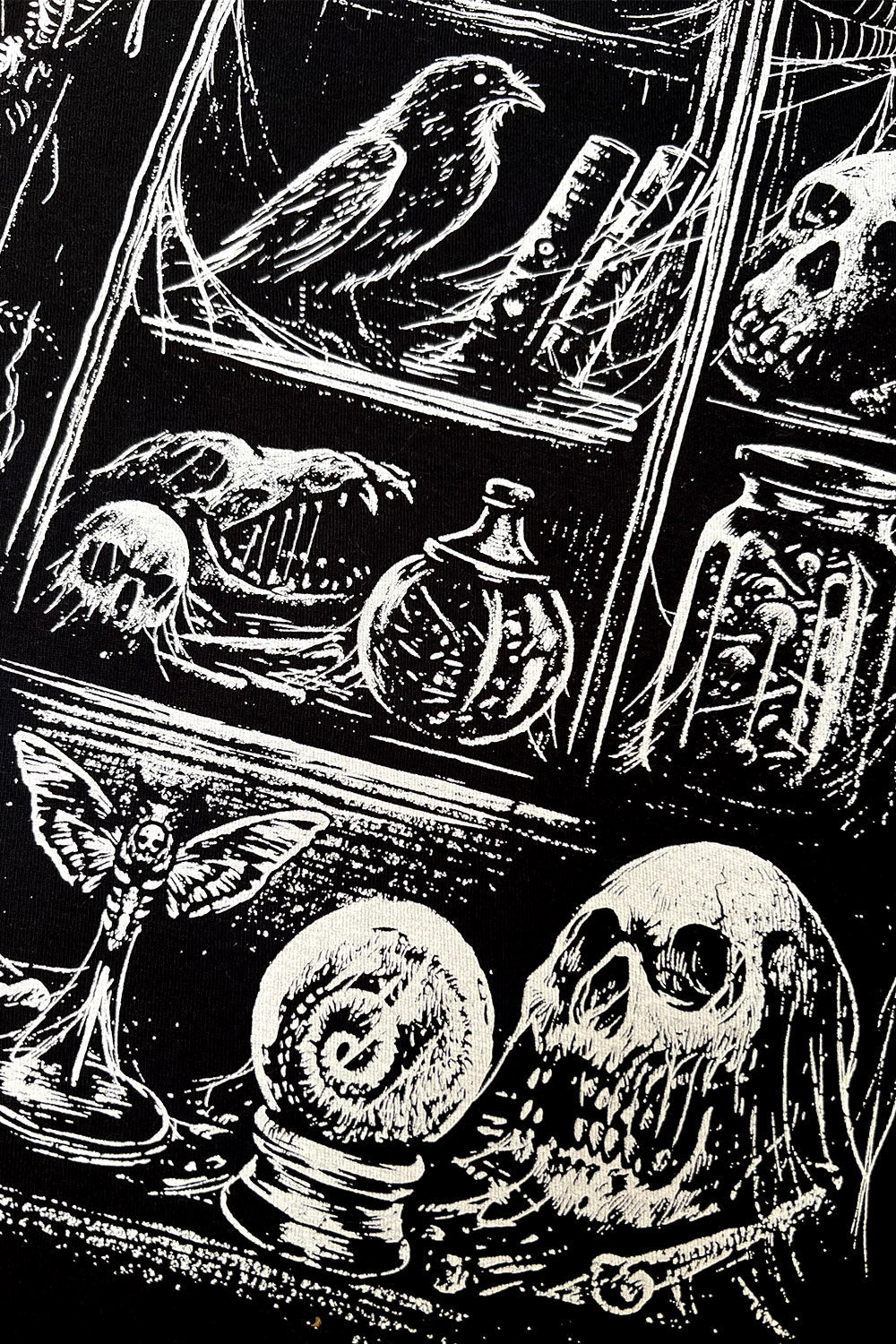 Cabinet of Curiosities Sweatshirt