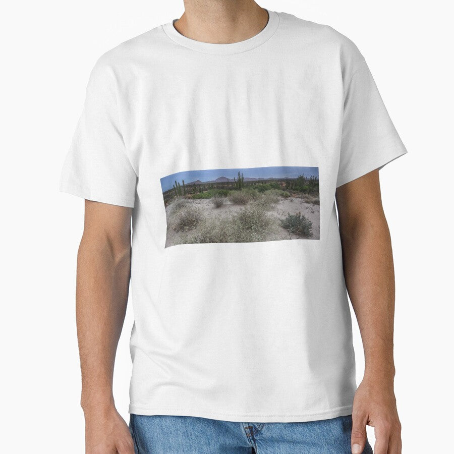 Desert of Sonora Mexico by photo1979