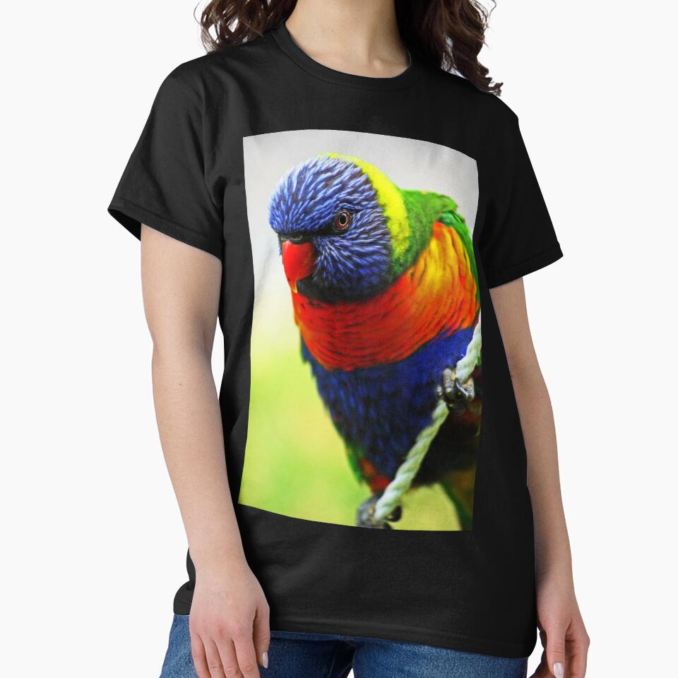 Rainbow Lorikeet by Evita