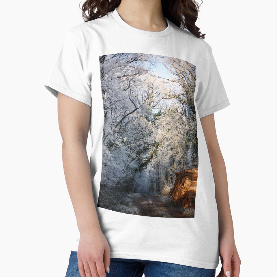 Frosty Undergrowth by ANAEZ