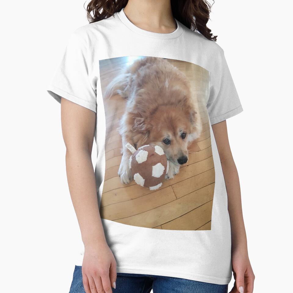 Marley the lazy goldenchow soccer dog by nfssmith