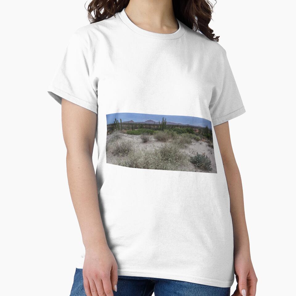 Desert of Sonora Mexico by photo1979