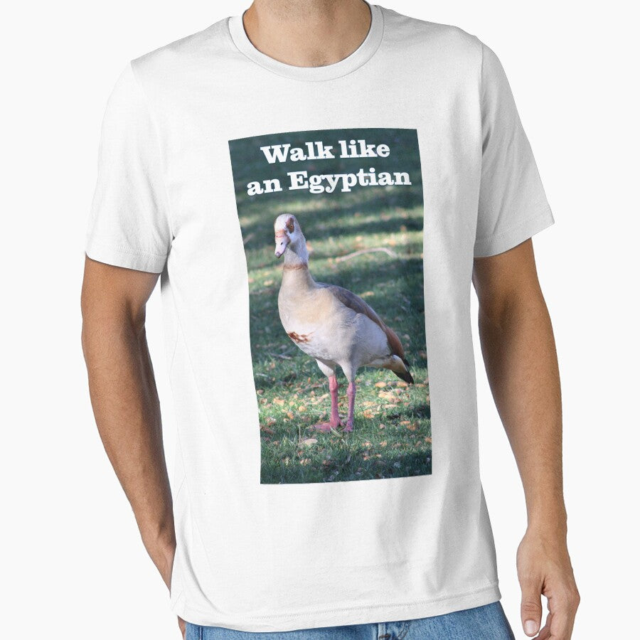 Walk like an Egyptian Goose by BattlefoxxEarth