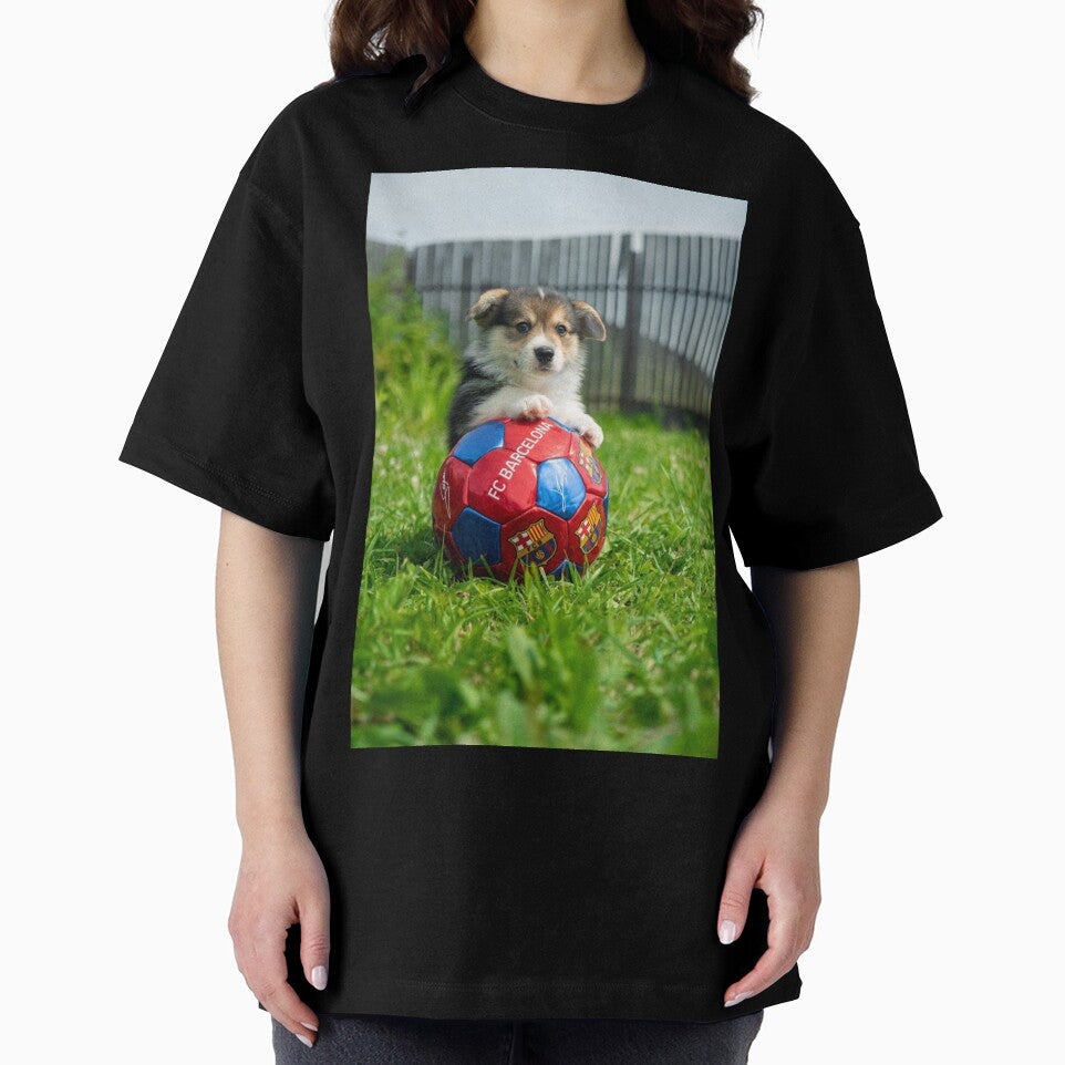 Dog on soccer ball by vexifyon1