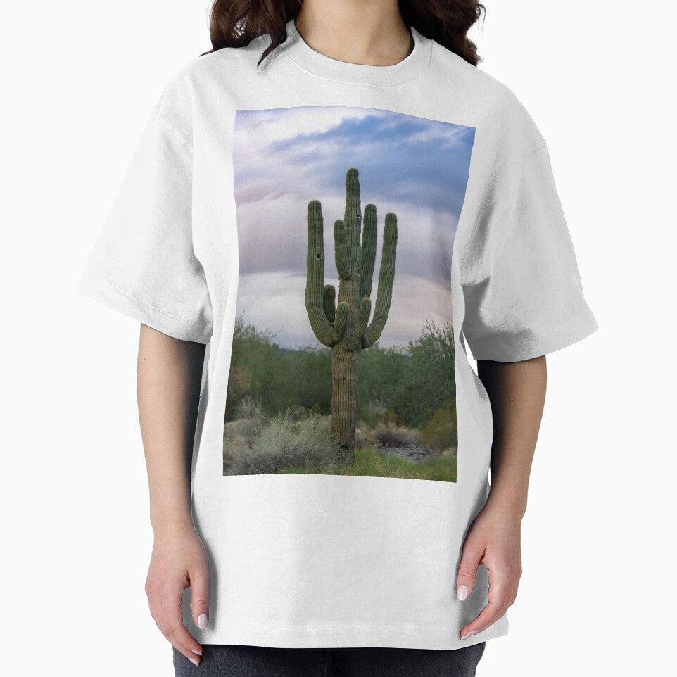 Ancient Saguaro Cactus by Ollivrosa