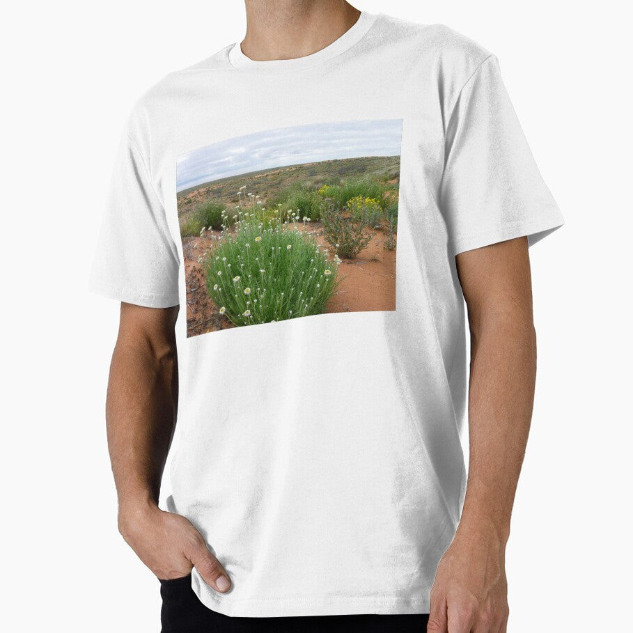 Wildflowers of the Simpson Desert by ThornetreeGen
