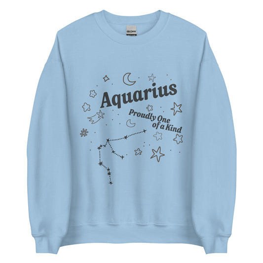 Aquarius Proudly One of a Kind Unisex Sweatshirt