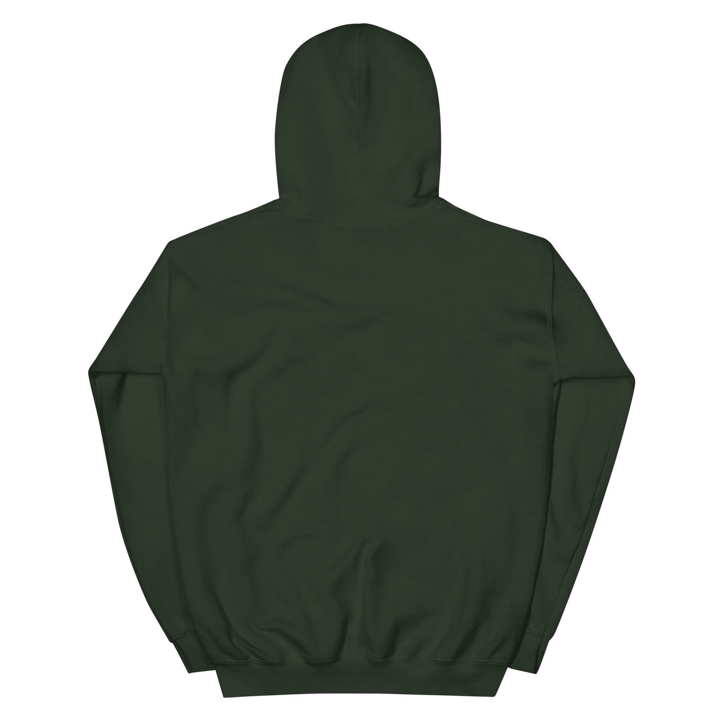 Michigan Embroidered Unisex Hoodie