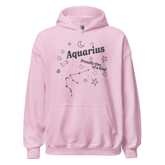 Aquarius Proudly One of a Kind Unisex Hoodie