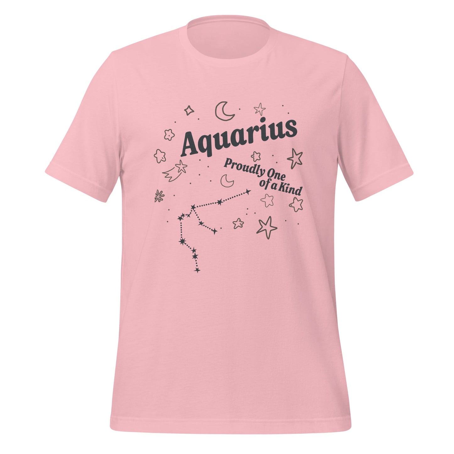 Aquarius Proudly One of a Kind Unisex T-Shirt