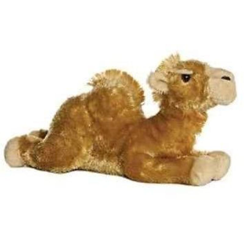 Sahara the Camel