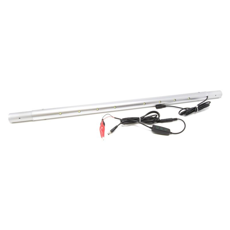 Clam Small Light Stick