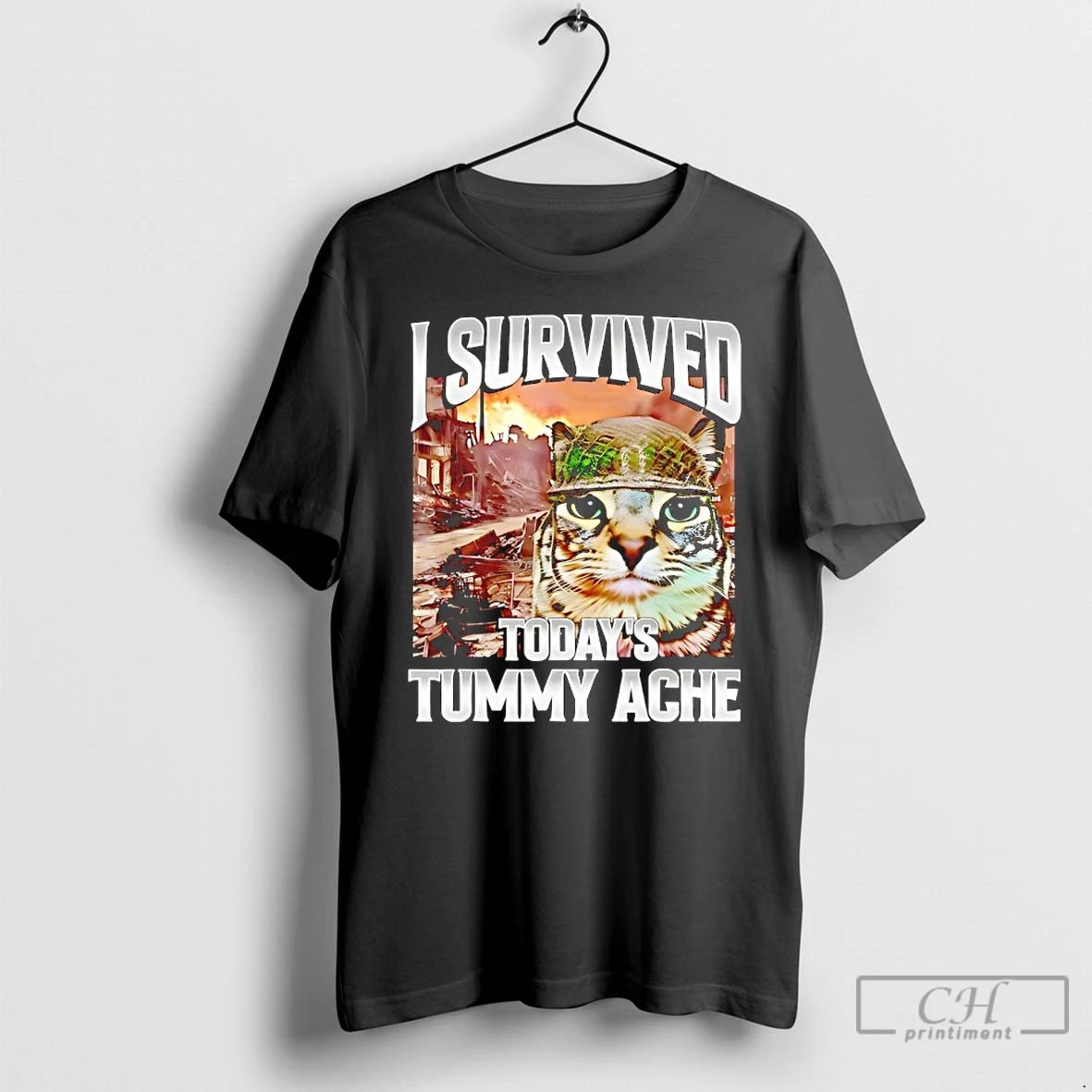 Classic I Survived Todays Tummy Ache Cat Meme