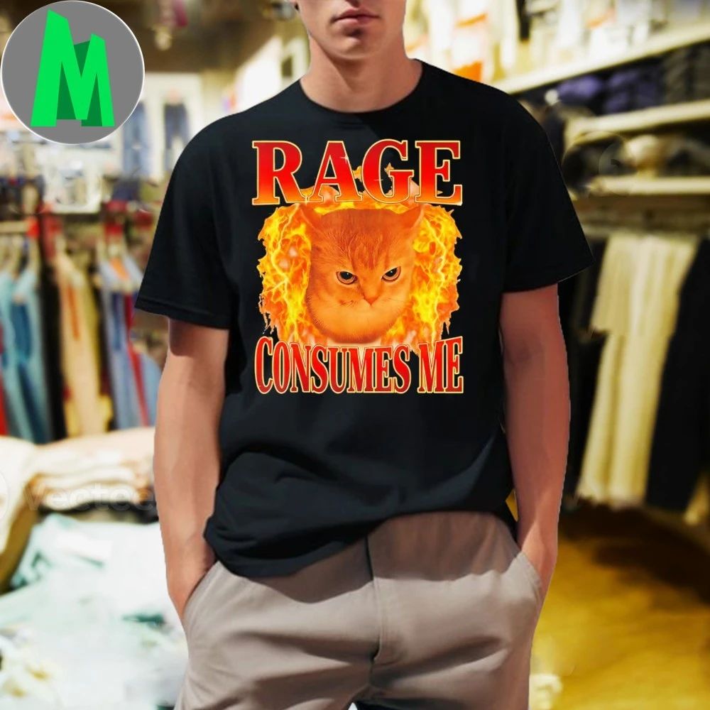 Rage Consumes Me Funny Angry Cat Meme Fire 2025 T-Shirt